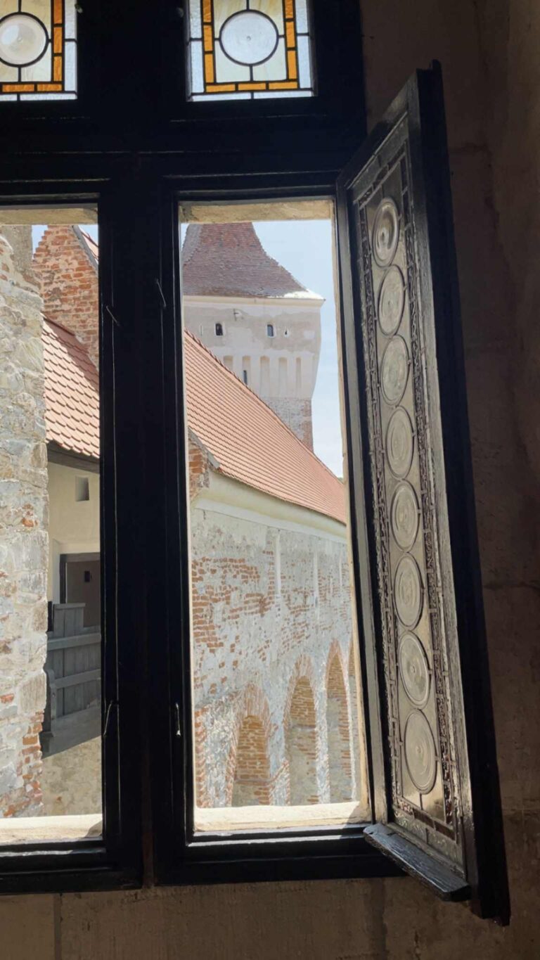 0688a6e4-221a-47d5-824c-332433bce11e