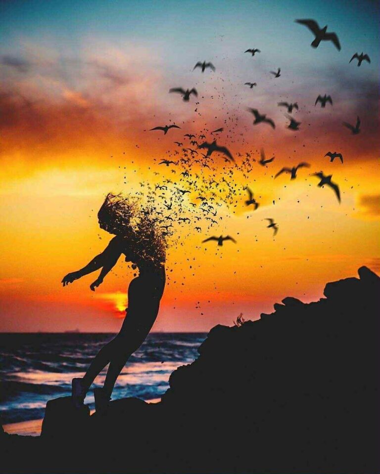 7f0067cb-92ab-4907-9626-62fbc3355385