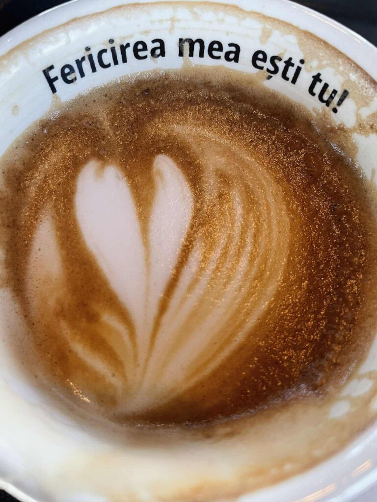 1e10eecb-cd5b-4a40-ab91-0bccb3a232f2